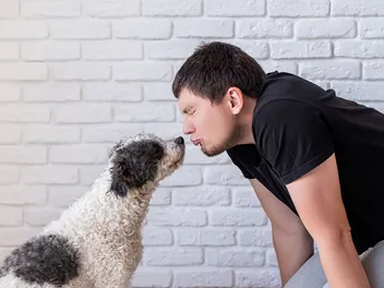 Can Pancreatitis Cause Bad Breath in Dogs? Health & Care Facts (Vet Answer)