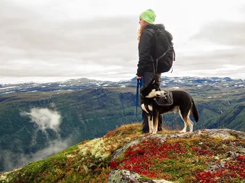 8 Dog-Friendly Hiking Trails in the Bay Area, CA in 2026