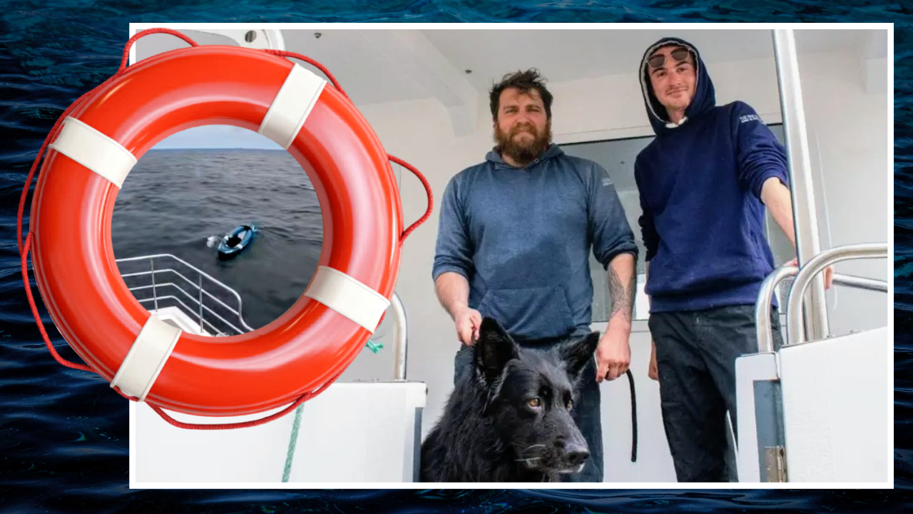 German Shepherd Rescued After Kayak Blows Out to Sea