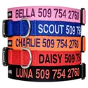 GoTags Nylon Personalized Collar