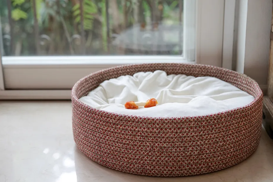 an empty dog bed at home