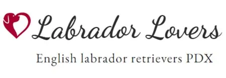 Labrador Lovers