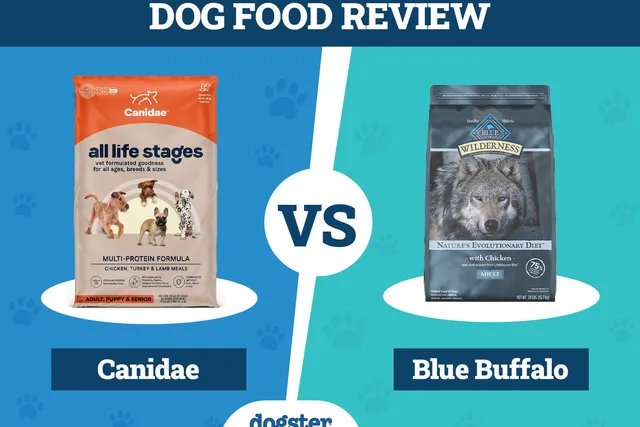 Canidae vs. Blue Buffalo Dog Food: Pros, Cons & What to Choose