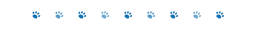 divider dog paws 2 oct 2024