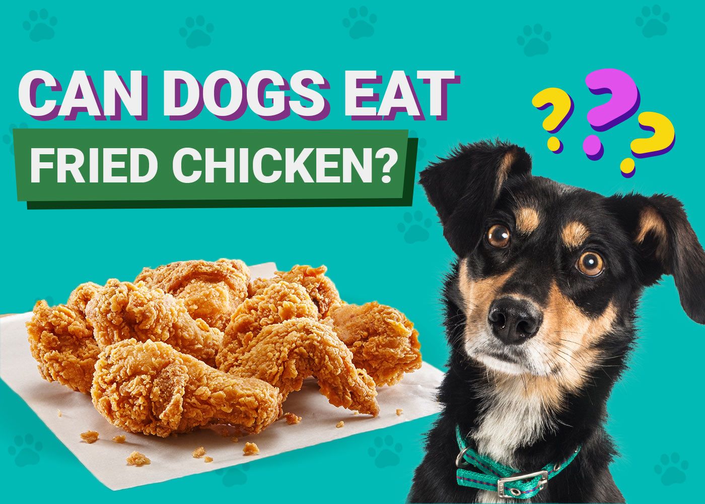 Can Dogs Eat Fried Chicken
