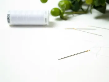 My Dog Swallowed a Sewing Needle: What to Do Now?