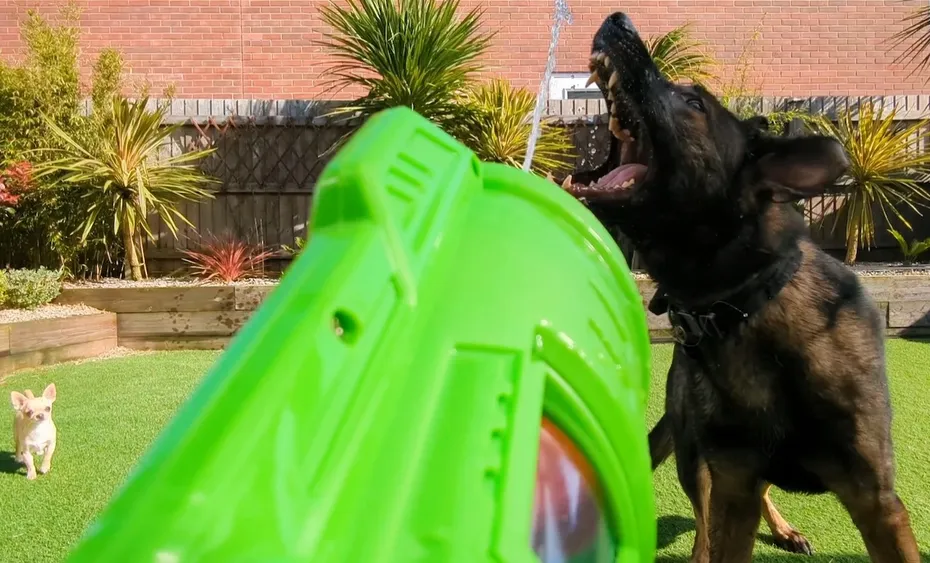 The Water Gun is just as good as the hose!