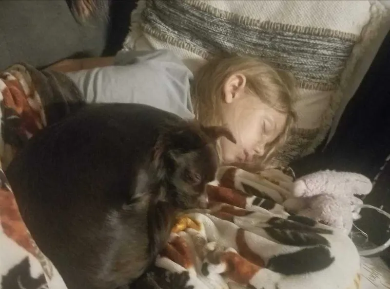 You can always find them napping together.