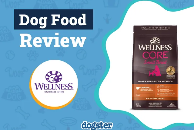 Wellness Dog Food Review 2026: Pros, Cons & Recalls
