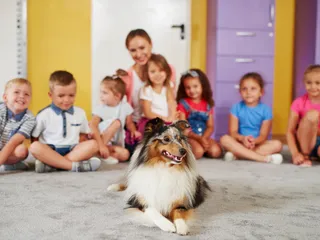 Therapy Dogs in Schools: Vet-Verified Benefits, Uses & FAQ