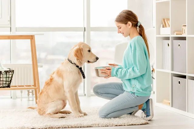 Phosphorus in Dog Food: Vet-Approved Calculation Guide & Health Tips