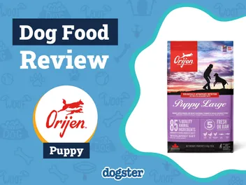 Orijen Puppy Food Review 2026: Pros, Cons, Recalls, and FAQ