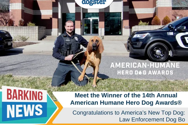 Meet the Winner of the 14th Annual American Humane Hero Dog Awards®, Law Enforcement Dog Bo