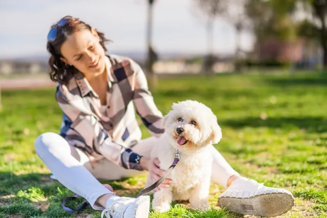 How to Live With Dogs When You Are Allergic: 8 Vet-Approved Tips