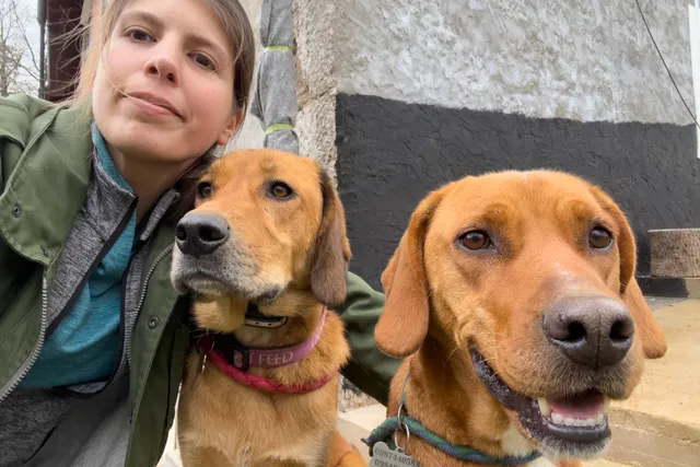 Introducing the Dogsters: Maja and Her Two Dogs, Lava & Hela