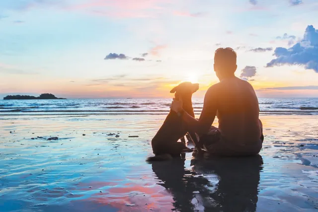 Do Dogs Reincarnate? Exploring the Possibilities