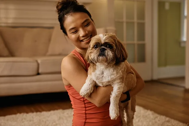 How Big Will My Shih Tzu Get? With Size & Growth Chart