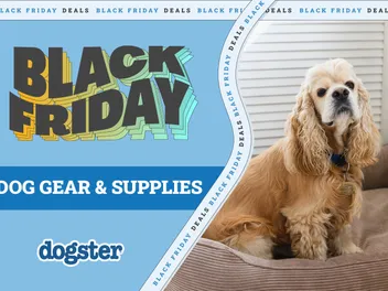 Black Friday/Cyber Monday Dog Deals 2026: Sales on Toys, Beds, Supplies & More
