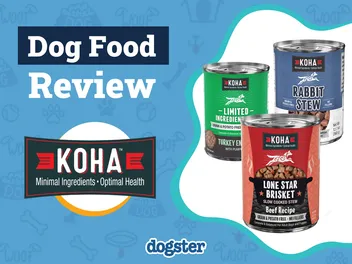 KOHA Dog Food Review 2026: Pros, Cons & Recalls