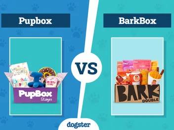 Pupbox vs BarkBox: A 2026 Comparison