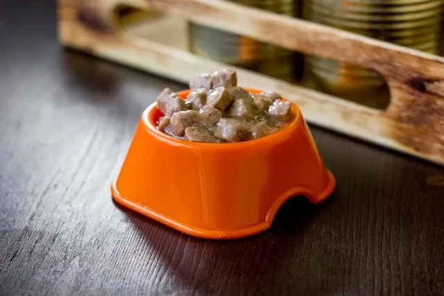 How Much Canned Food to Feed a Dog: Vet Approved Nutrition Advice
