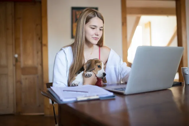 How to Keep Your Dog from Distracting You When Working From Home: 7 Helpful Tips