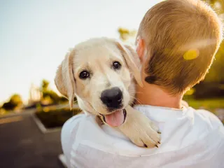 How to Keep Your New Puppy Healthy: 10 Vet-Approved Tips