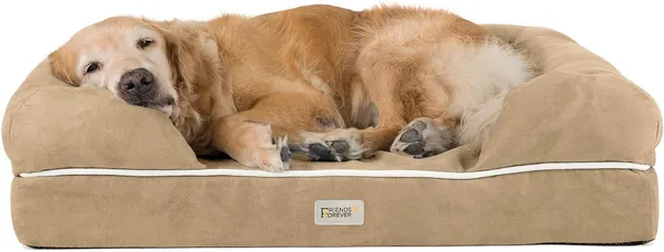 Friends Forever Large Dog Bed