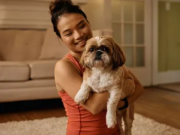 How Big Will My Shih Tzu Get? With Size & Growth Chart