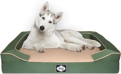 Sealy Lux Quad Layer Orthopedic Dog Bed