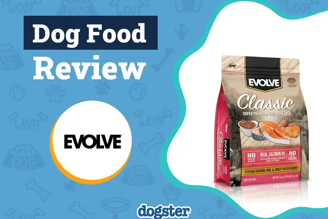 Evolve Dog Food Review 2026: Recalls, Pros & Cons
