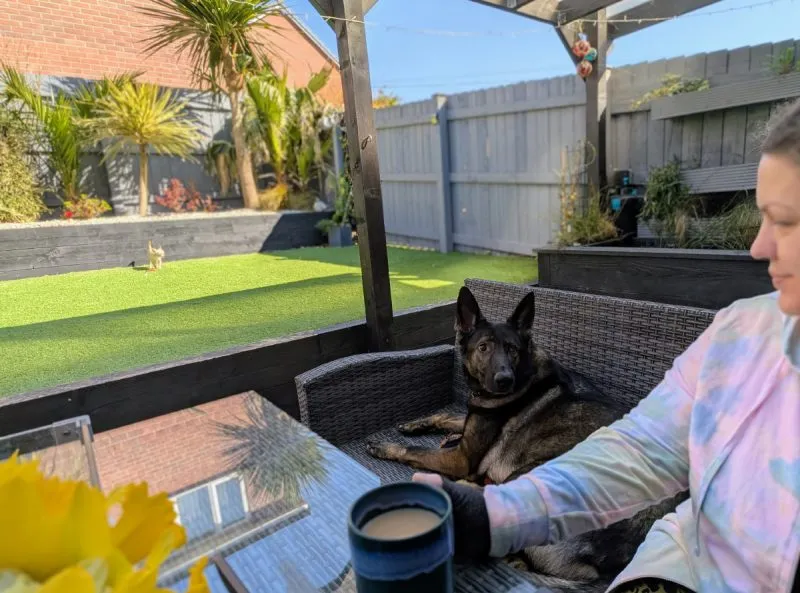 Keeping me company when I'm working outside while Ned & Fred play