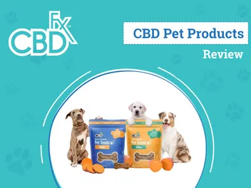 CBDfx CBD Pet Products Review 2026: Our Expert’s Opinion