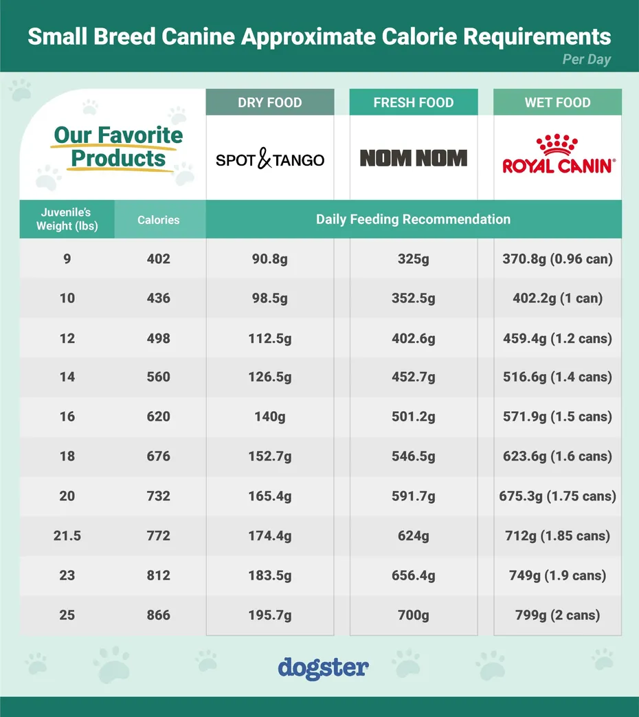 Dogster_Calorie Requirements_juveniles_small breeds canine_v1-2_Nov 21 2023