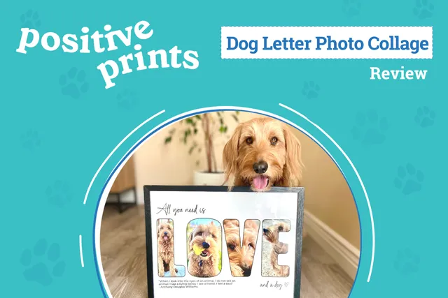 Positive Prints Letter Photo Collage Review 2026: Transform Your Four-Legged Friend into Art