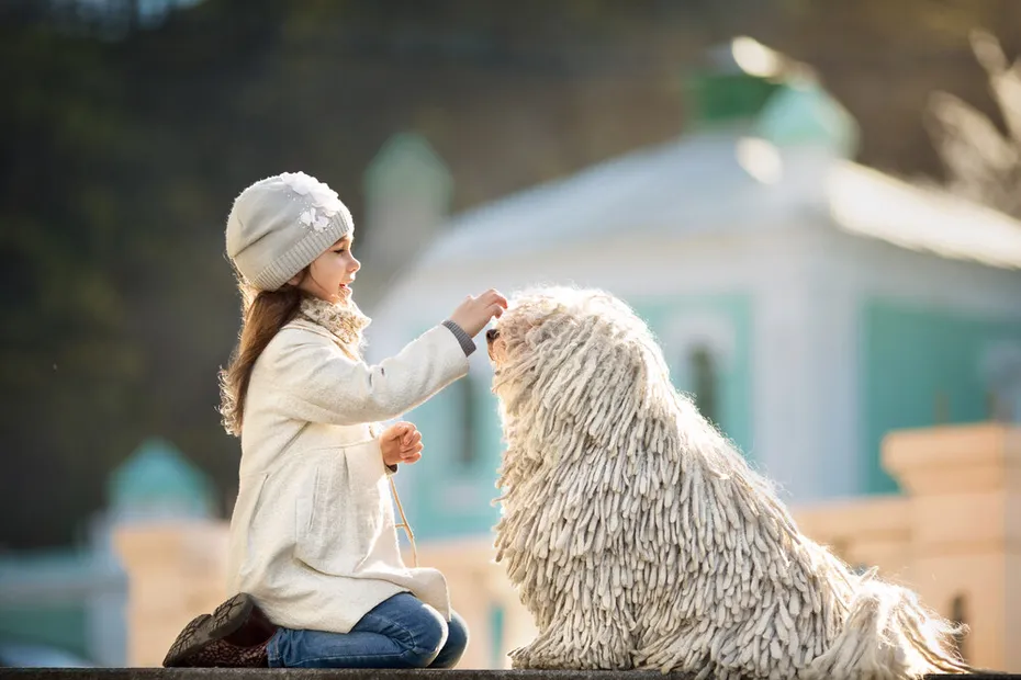 little girl with her dog puli sitting on the ground