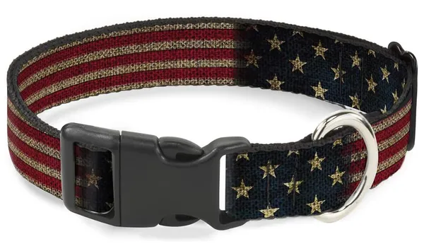 Buckle-Down Personalized Dog Collar