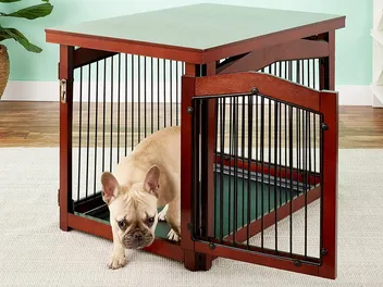 10 Best Dog Crates for Separation Anxiety in 2026 - Reviews & Top Picks