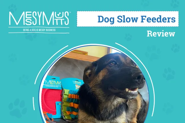 Messy Mutts Feeding Mats Review 2026: An Expert's Breakdown