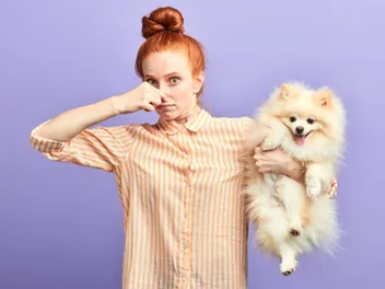 How to Get Rid of Pet Odors in an Apartment — 5 Helpful Methods