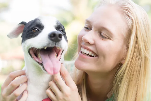 How to Make a Dog Laugh: 4 Steps & What to Look For