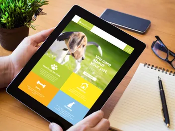 International Dog Adoption: Can You Adopt a Dog From Abroad? Pros & Cons