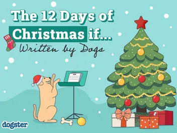 The 12 Days of Christmas If Written by Dogs