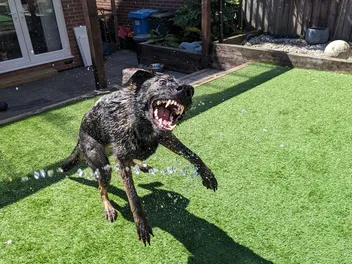 Kodah, Addicted to the Hose (With Video)