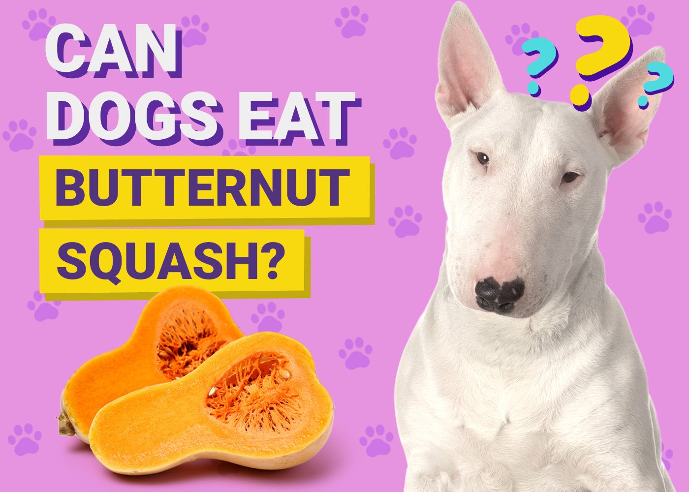 Can Dogs Eat_Butternut Squash