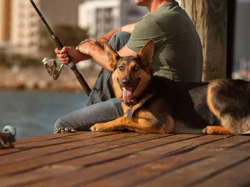How to Go Fishing With Your Dog: Vet-Approved Safety Precautions & Etiquette