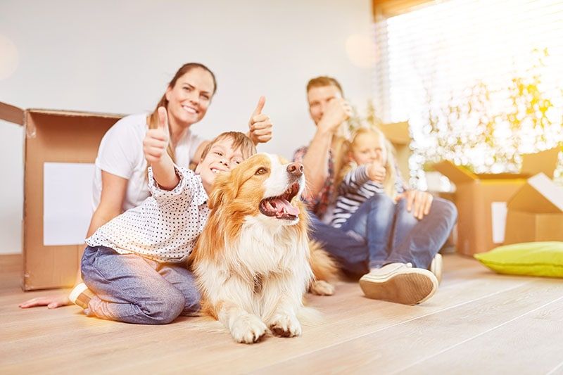 Happy family with two kids and dog holds thumbs up in new home