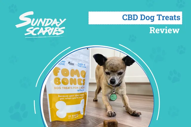 Sunday Scaries FOMO Bones Review 2026: An Expert's Breakdown