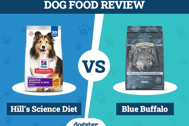 Hill’s Science Diet vs Blue Buffalo Dog Food: 2026 Comparison, Pros & Cons