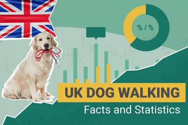 14 UK Dog Walking Statistics & Facts for 2026: How Much People Walk Their Dogs